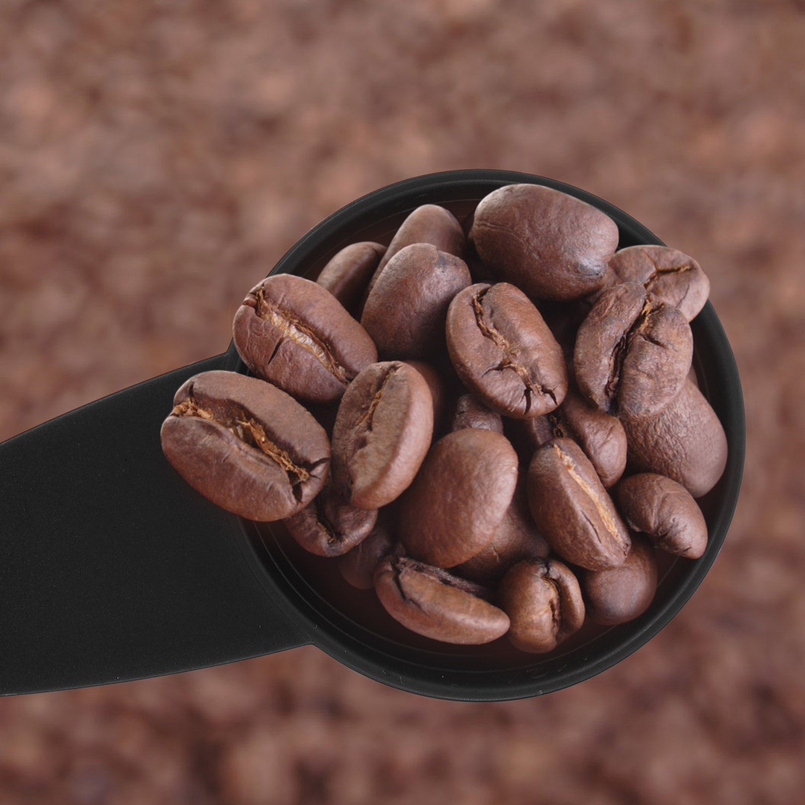Lot de 5 cuillères doseuses à  - Coffee Tea Spices avis et prix
