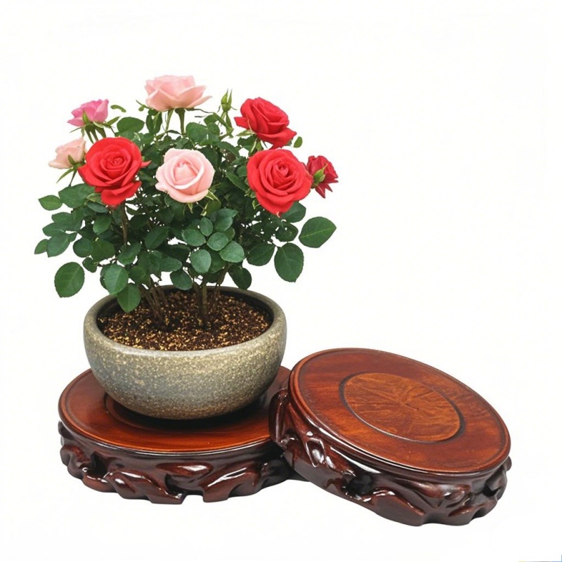 Socle en bois pour plantes et  - Coffee Tea For Garden avis et prix